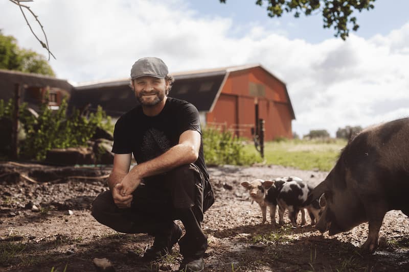 Dambækgaard | Bondegård med bæredygtighed i fokus I Ophold I B & B I Fester, kurser og selskaber