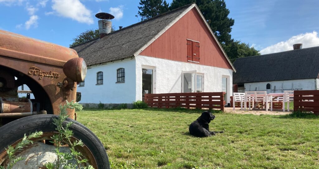 Dambækgaard | Bondegård med bæredygtighed i fokus I Ophold I B & B I Fester, kurser og selskaber